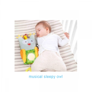 taf toys musical sleepy owl