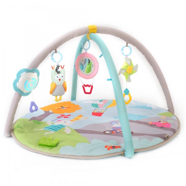 Taf Toys Musical Nature Baby Gym